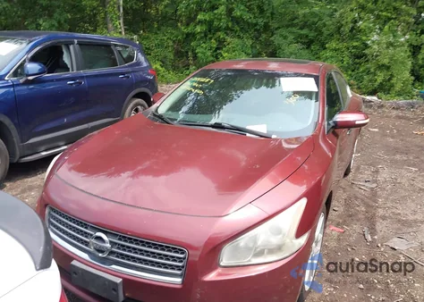 2010 Nissan Maxima 3.5 Sv z USA, uszkodzony, nr VIN 1N4AA5AP9AC802188